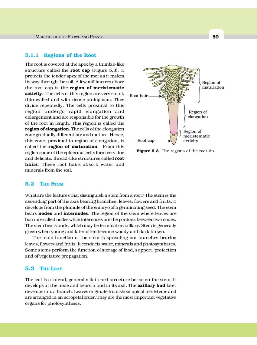 case study based questions class 11 biology chapter 5