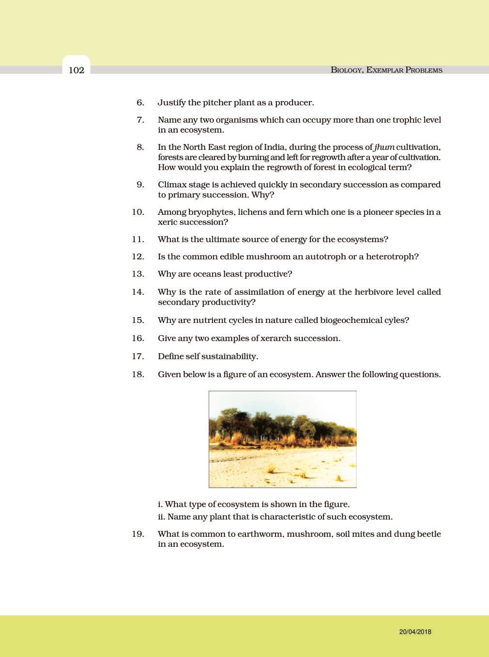 NCERT Exemplar Class 12 Biology Chapter 14 Ecosystem