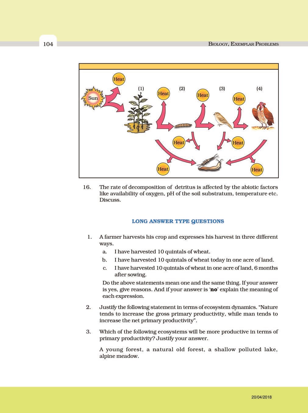 NCERT Exemplar Class 12 Biology Chapter 14 Ecosystem