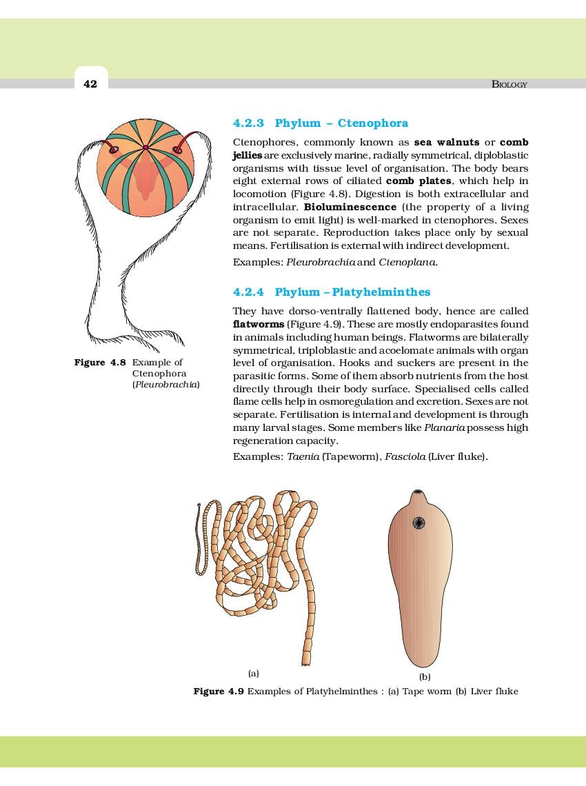 NCERT Book Class 11 Biology Chapter 4 Animal Kingdom | AglaSem Schools