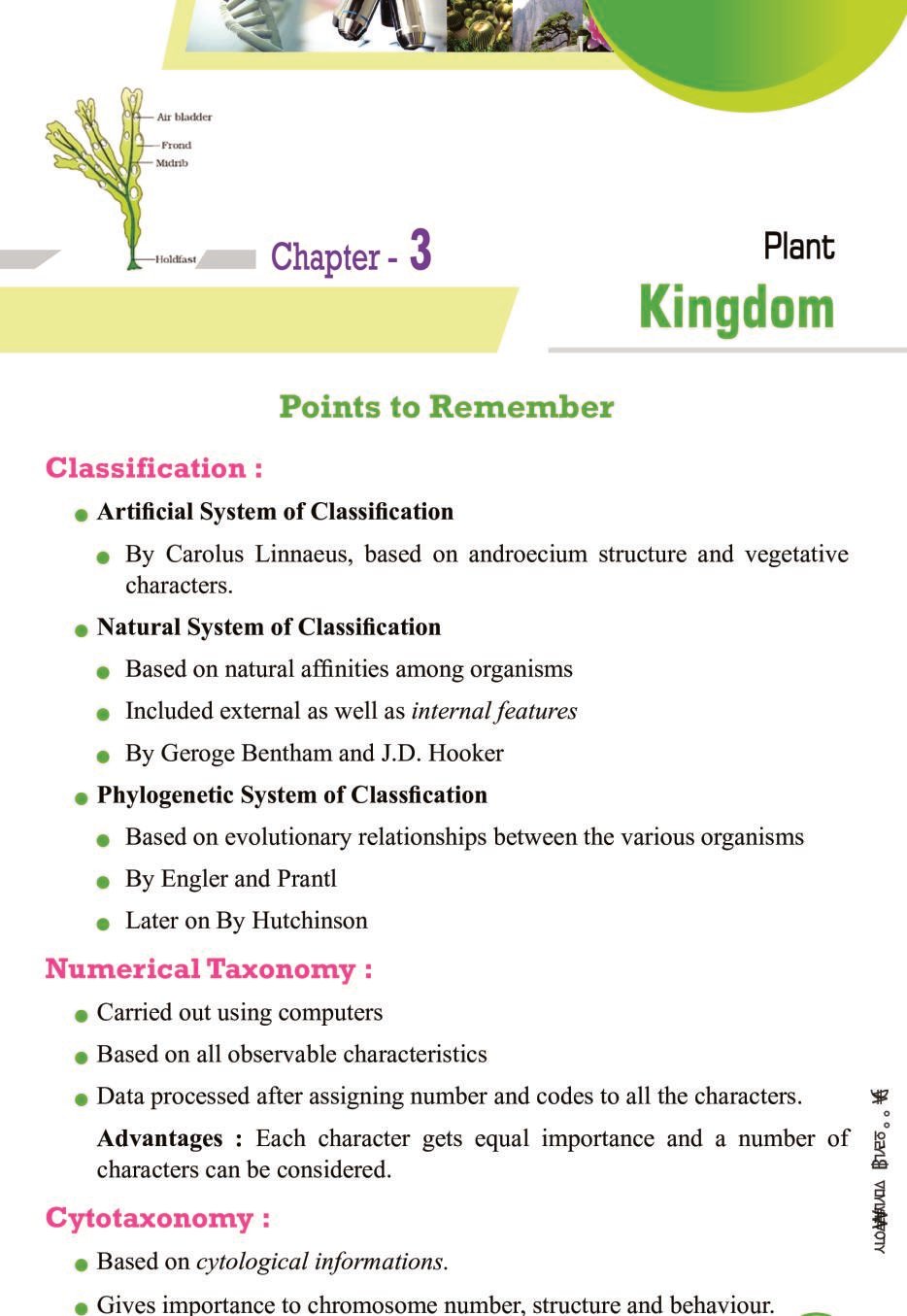 case study based questions on plant kingdom class 11