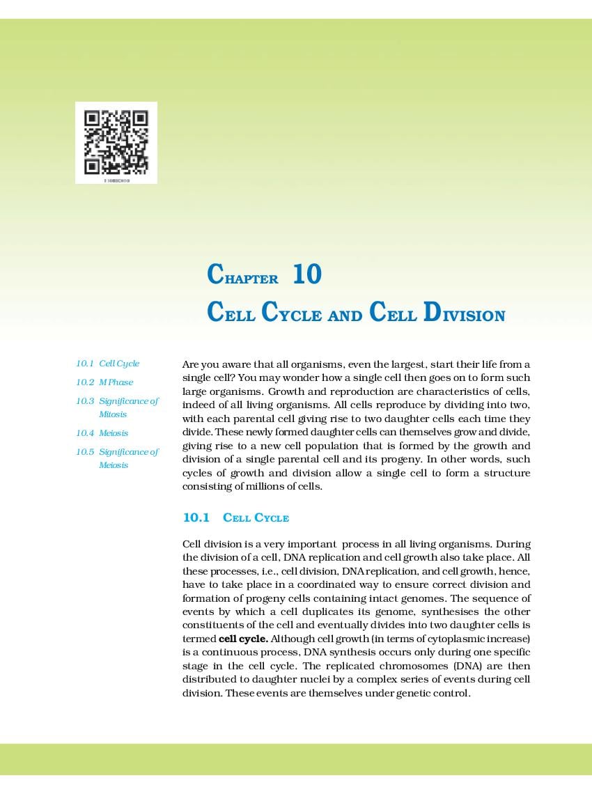 NCERT Book Class 11 Biology Chapter 10 Cell Cycle and Cell Division