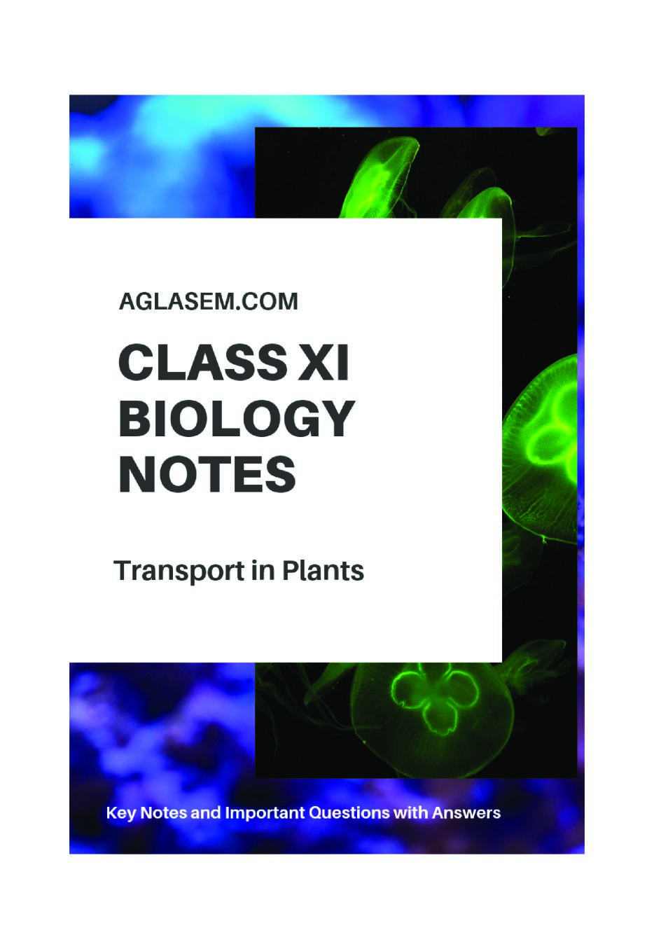 Class 11 Biology Notes for Transport In Plants - Page 1