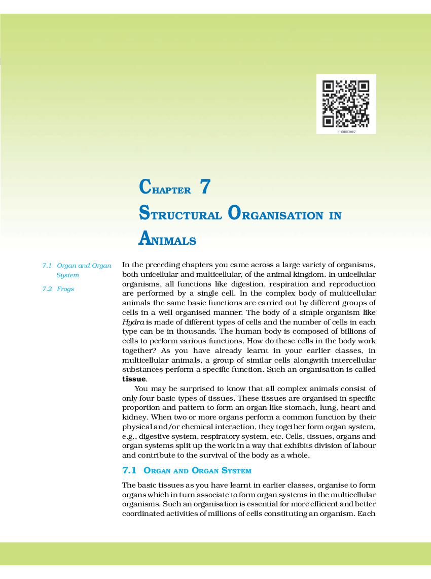 RBSE Book Class 11 Biology Chapter 7 Structural Organisation In Animals 