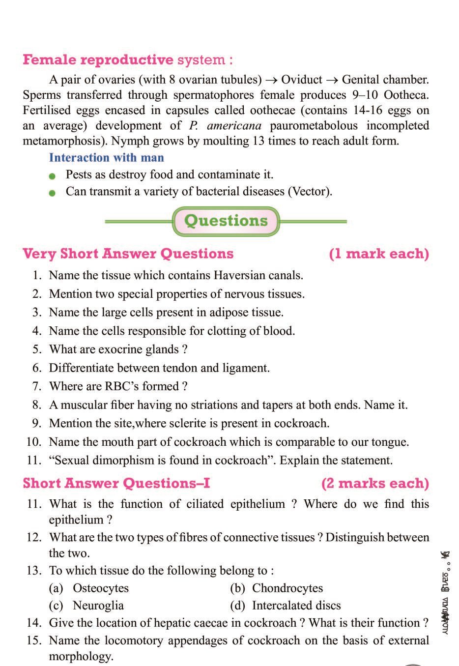 CBSE Notes Class 11 Biology Structural Organisation in Animal