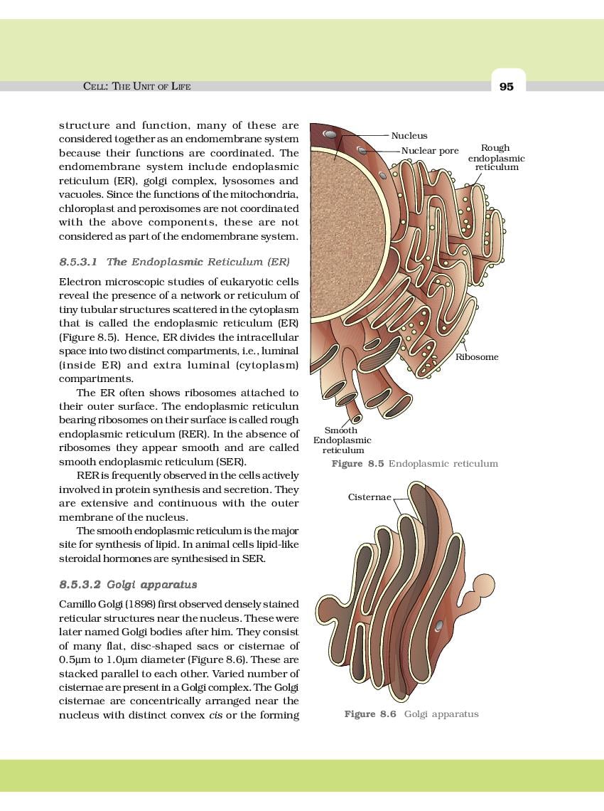 rbse-book-class-11-biology-chapter-8-cell-the-unit-of-life-hindi