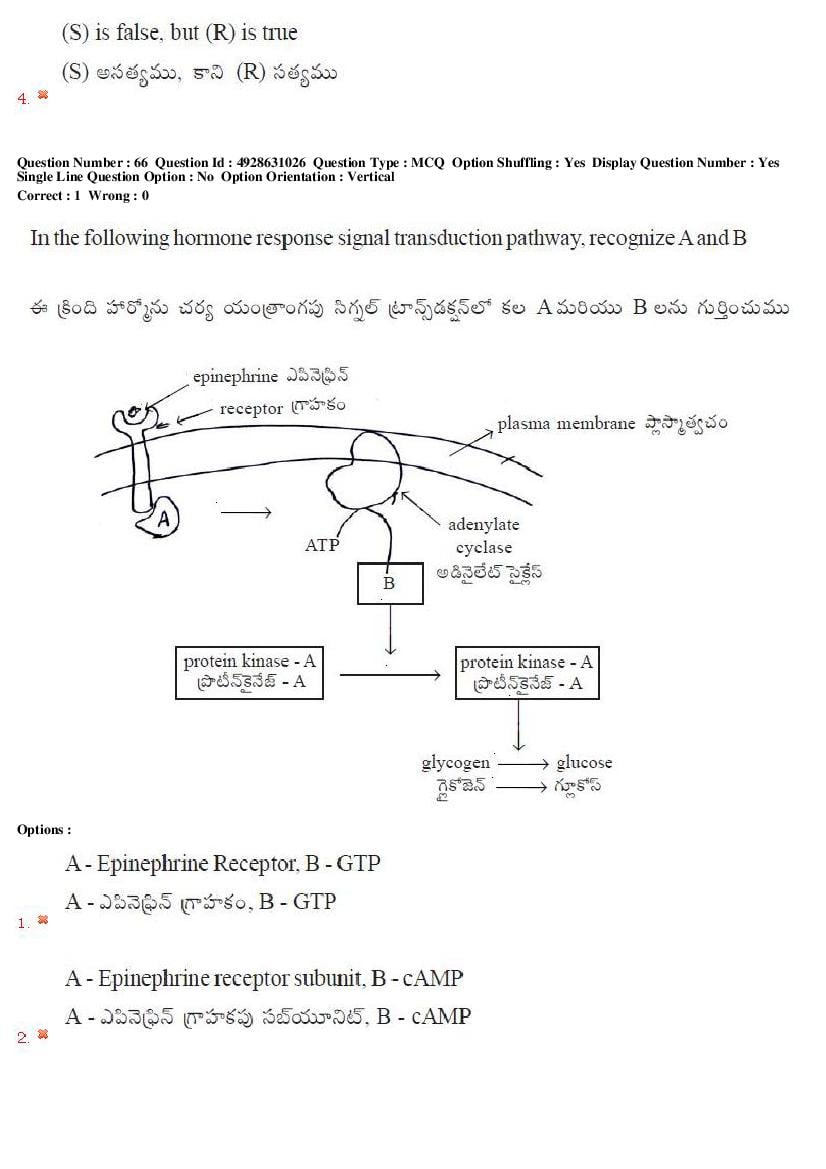 TS EAMCET 2018 Question Paper PDF with Answer Keys (Shift-wise)