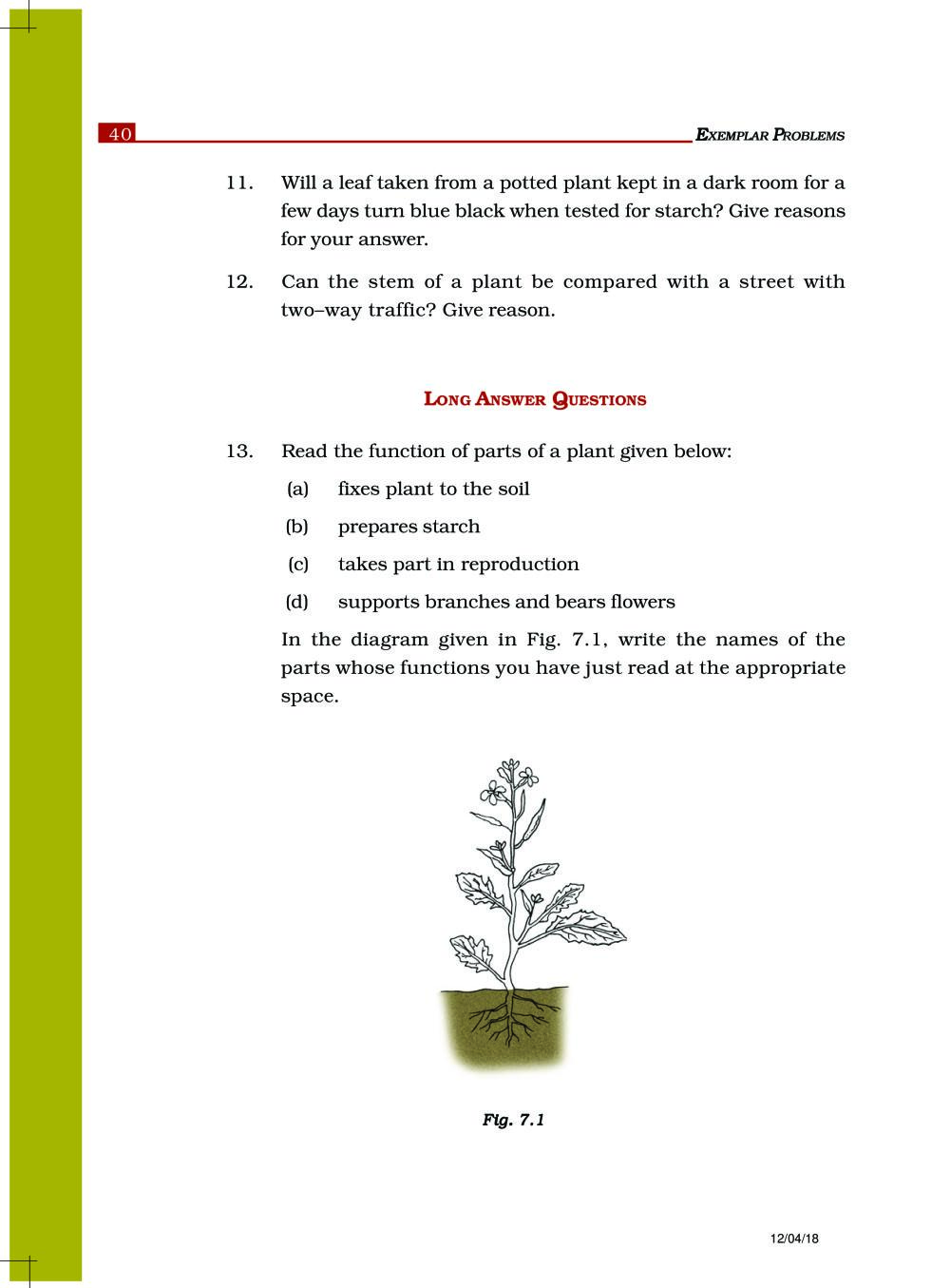 NCERT Exemplar Class 6 Science Chapter 7 Getting to Know Plants