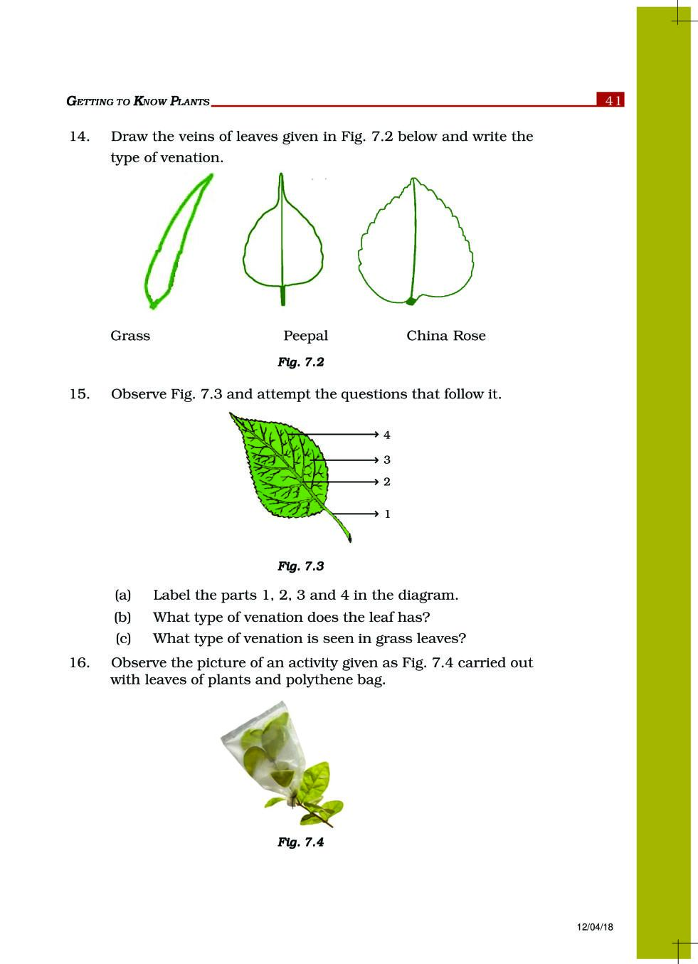 NCERT Exemplar Class 6 Science Chapter 7 Getting to Know Plants