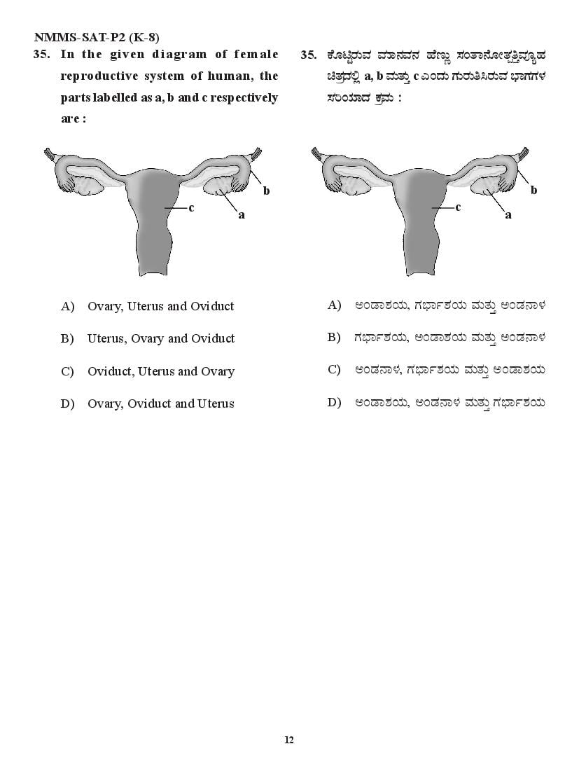 Karnataka NMMS Question Papers – Download PDF