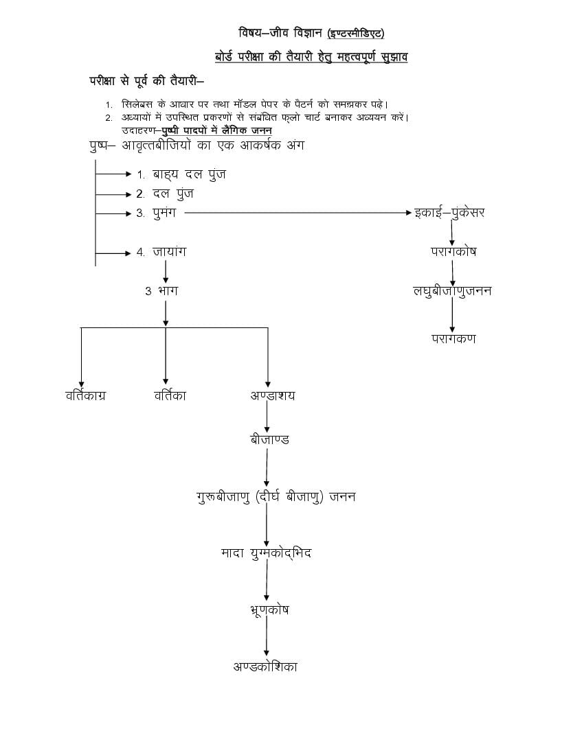 up board class 12 date sheet 2025 biology