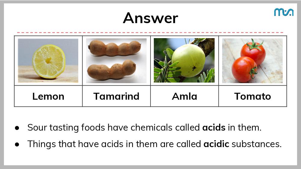 Teaching Material for Class 7 Science – NCERT CBSE Handbook for Teachers