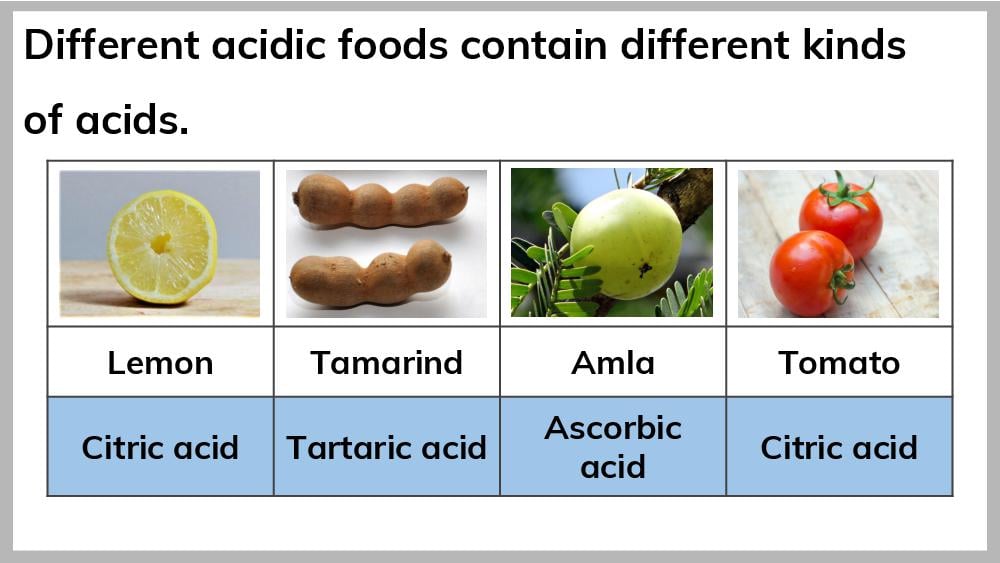 Teaching Material for Class 7 Science – NCERT CBSE Handbook for Teachers