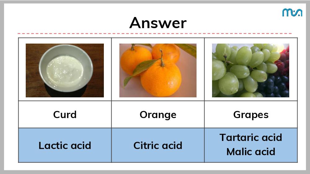 Teaching Material for Class 7 Science – NCERT CBSE Handbook for Teachers