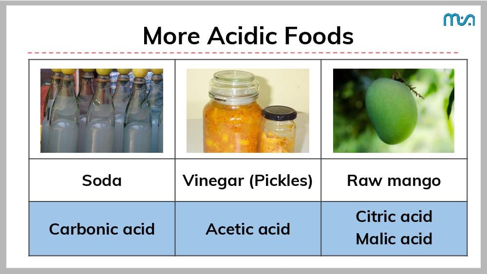 Teaching Material for Class 7 Science – NCERT CBSE Handbook for Teachers