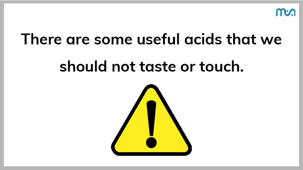 Teaching Material for Class 7 Science – NCERT CBSE Handbook for Teachers