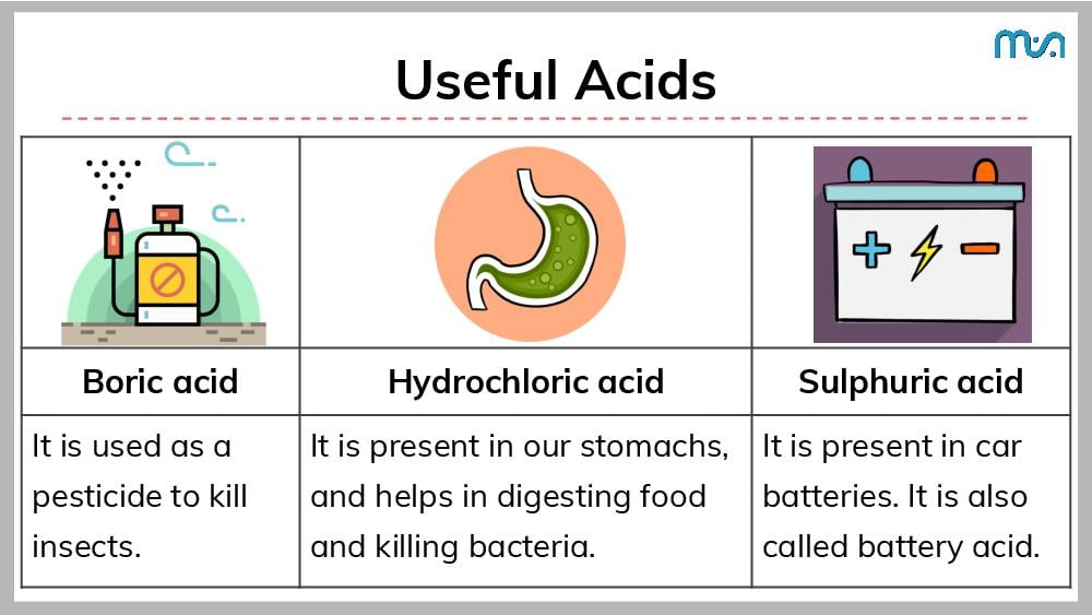 Teaching Material for Class 7 Science – NCERT CBSE Handbook for Teachers