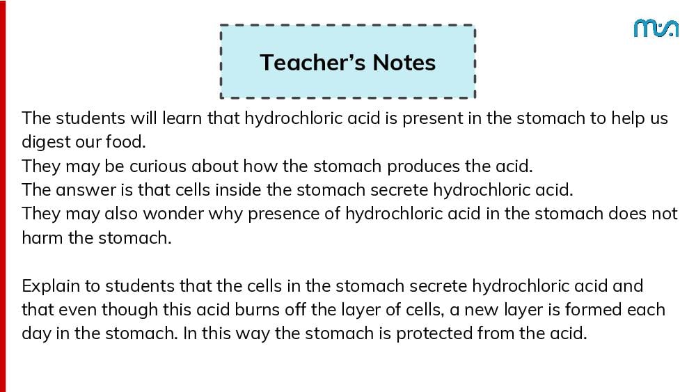 Teaching Material for Class 7 Science – NCERT CBSE Handbook for Teachers