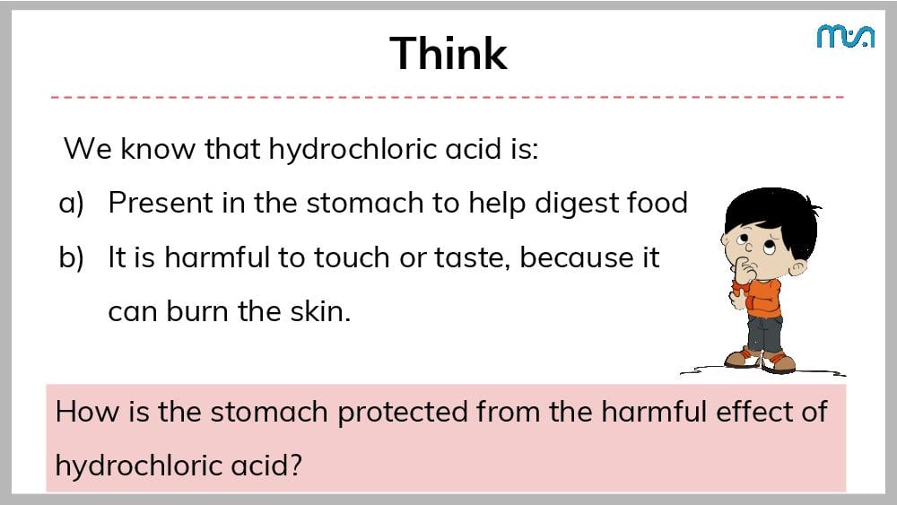 Teaching Material for Class 7 Science – NCERT CBSE Handbook for Teachers