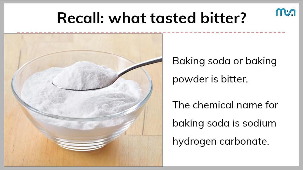 Teaching Material for Class 7 Science – NCERT CBSE Handbook for Teachers