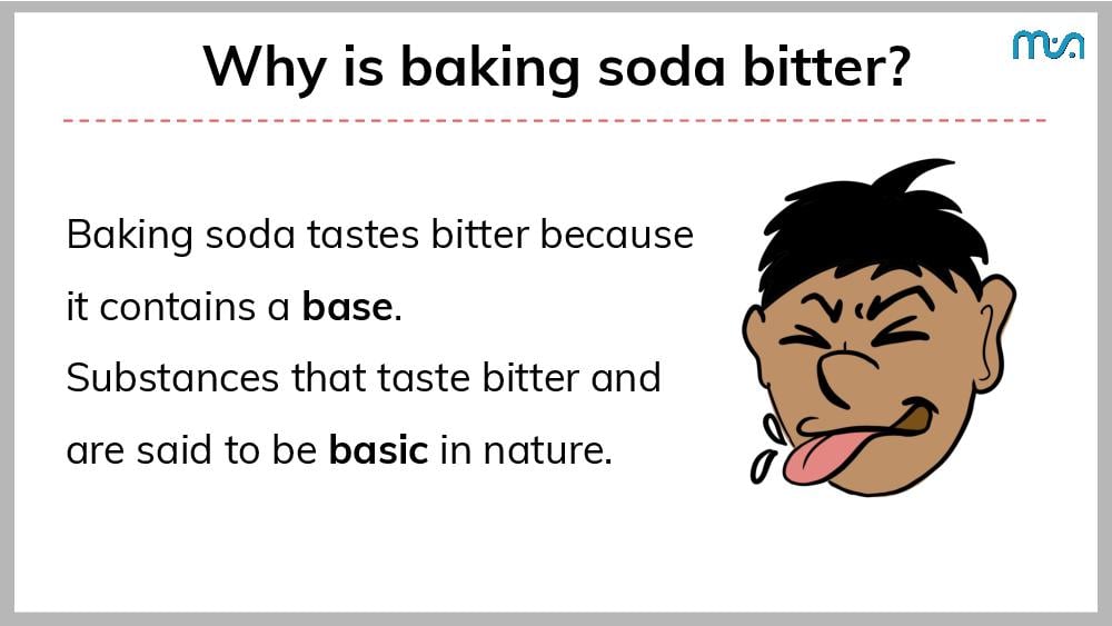 Teaching Material for Class 7 Science – NCERT CBSE Handbook for Teachers