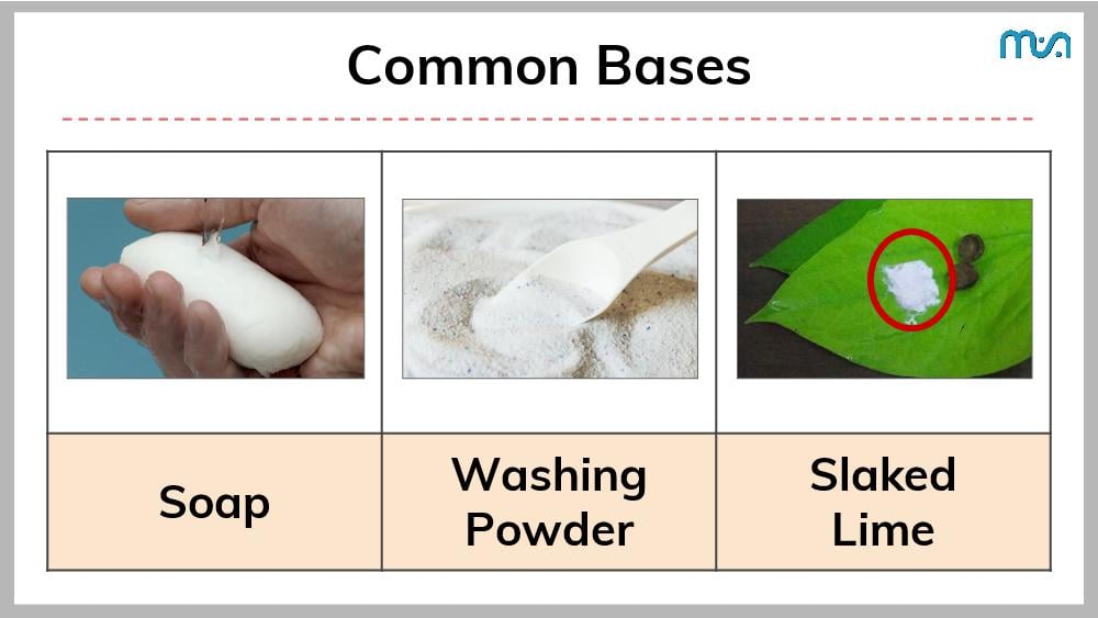 Teaching Material for Class 7 Science – NCERT CBSE Handbook for Teachers