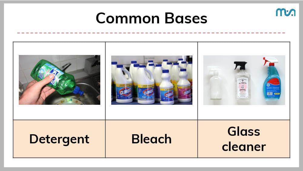 Teaching Material for Class 7 Science – NCERT CBSE Handbook for Teachers