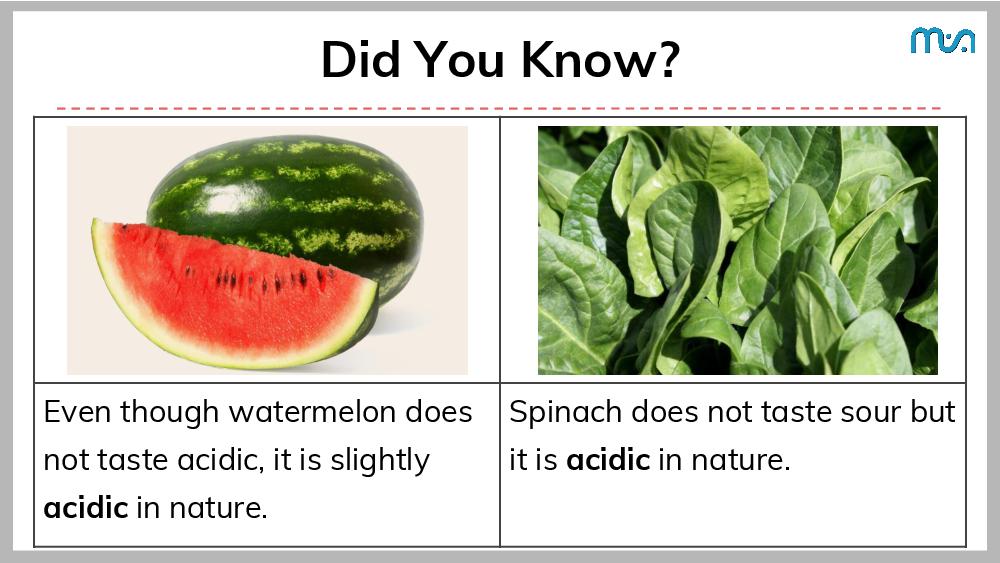 Teaching Material for Class 7 Science – NCERT CBSE Handbook for Teachers