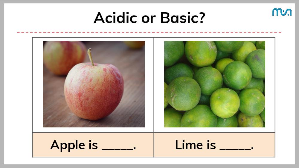 Teaching Material for Class 7 Science – NCERT CBSE Handbook for Teachers