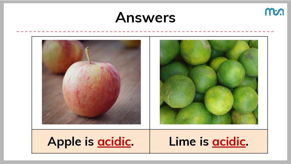 Teaching Material for Class 7 Science – NCERT CBSE Handbook for Teachers