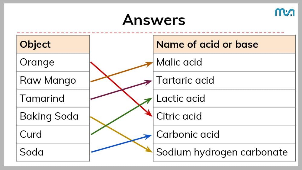 Teaching Material for Class 7 Science – NCERT CBSE Handbook for Teachers