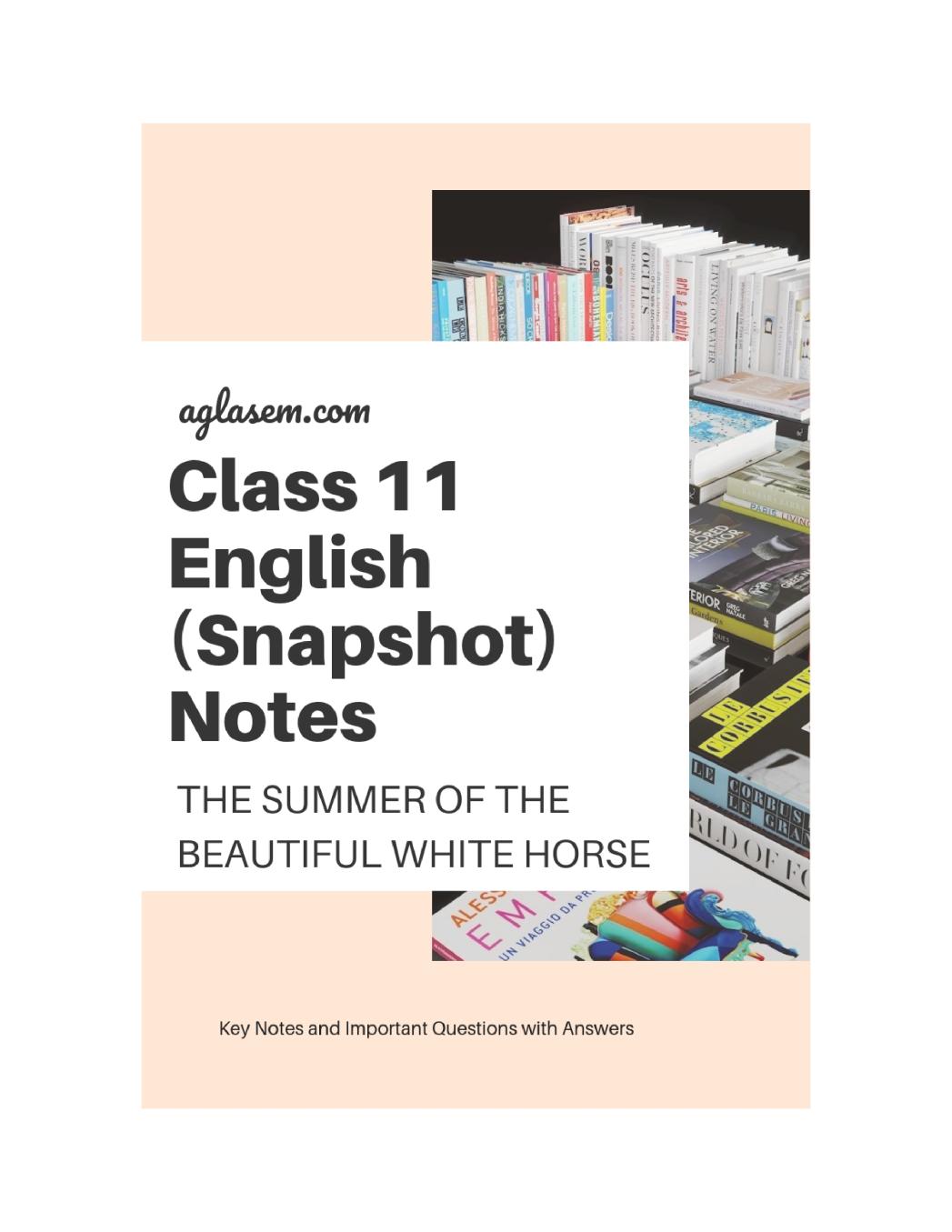 Class 11 English Snapshot Notes For The Summer of the Beautiful White Horse - Page 1