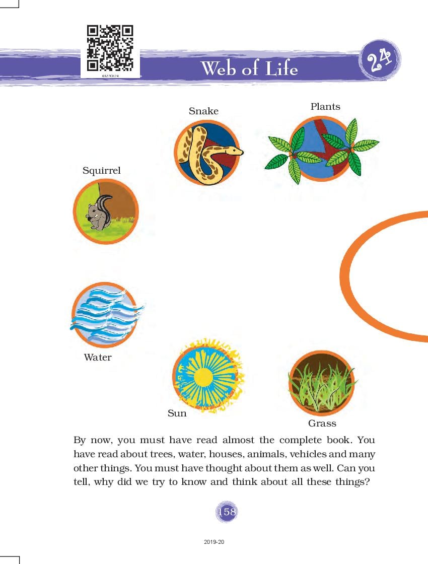 NCERT Book Class 3 EVS Chapter 24 Web of Life - Page 1