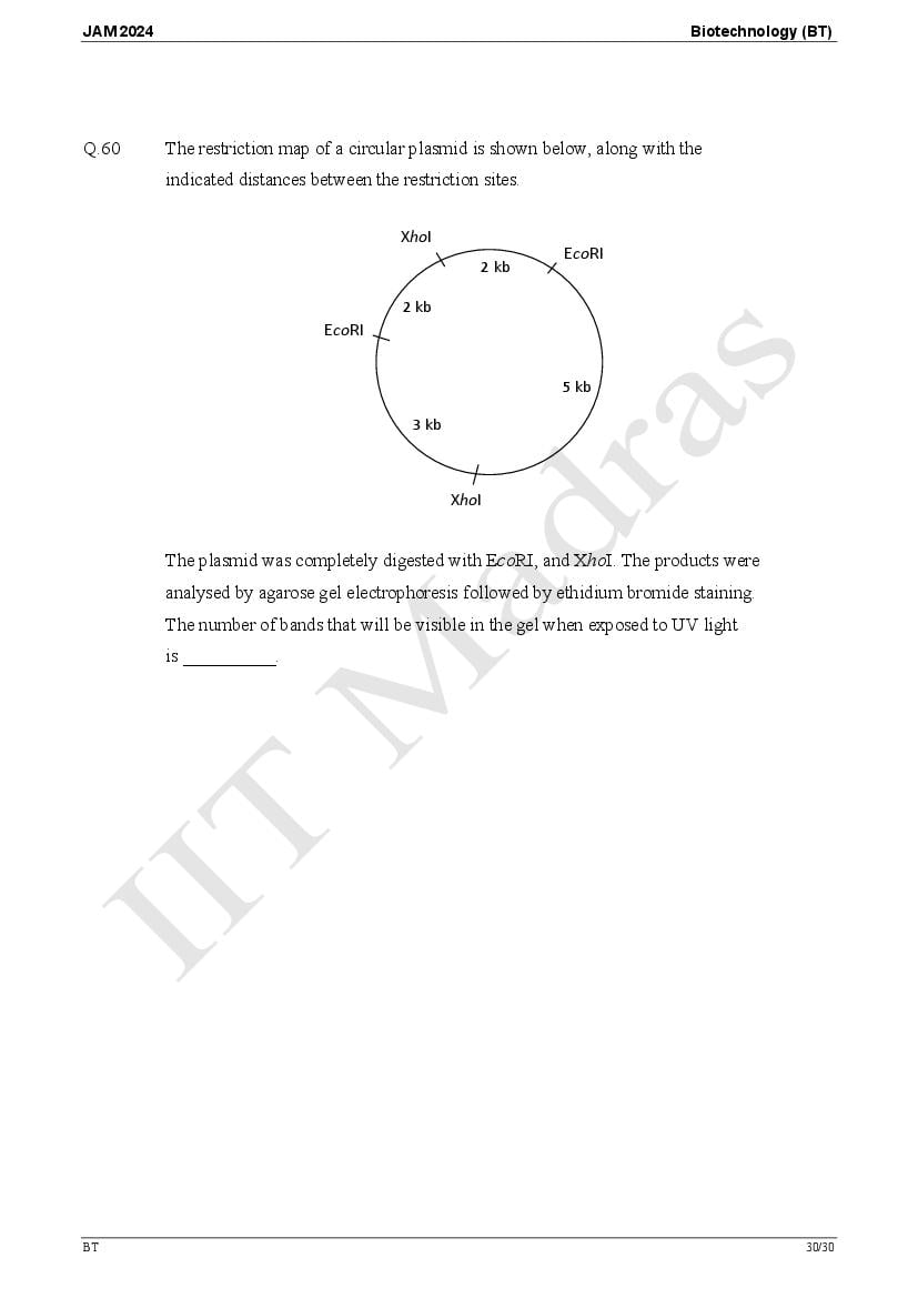 IIT JAM 2024 Question Papers PDF with Answer Keys (7 Papers)