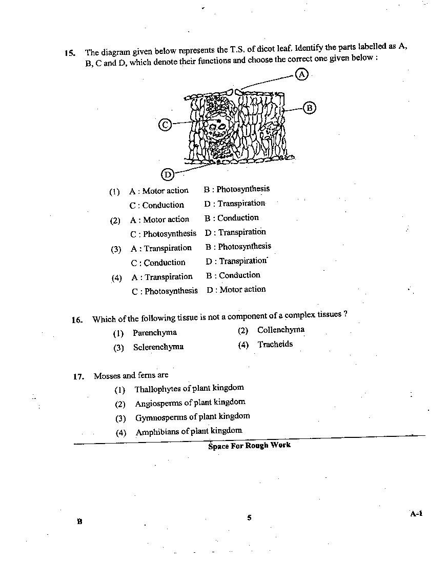 KCET 2013 Question Paper – Biology