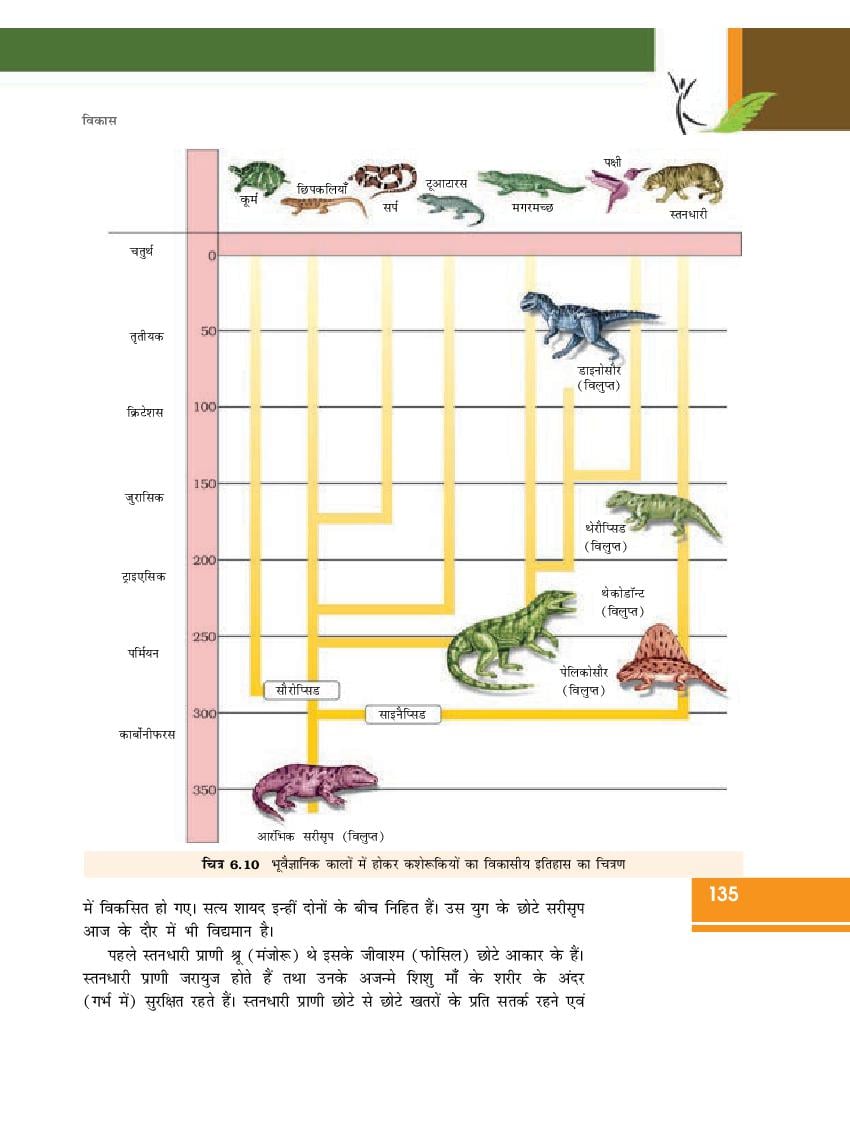 ह द म कक ष 12 एनस ईआरट ज व व ज ञ न अध य य 6 व श गत क आणव क आध र