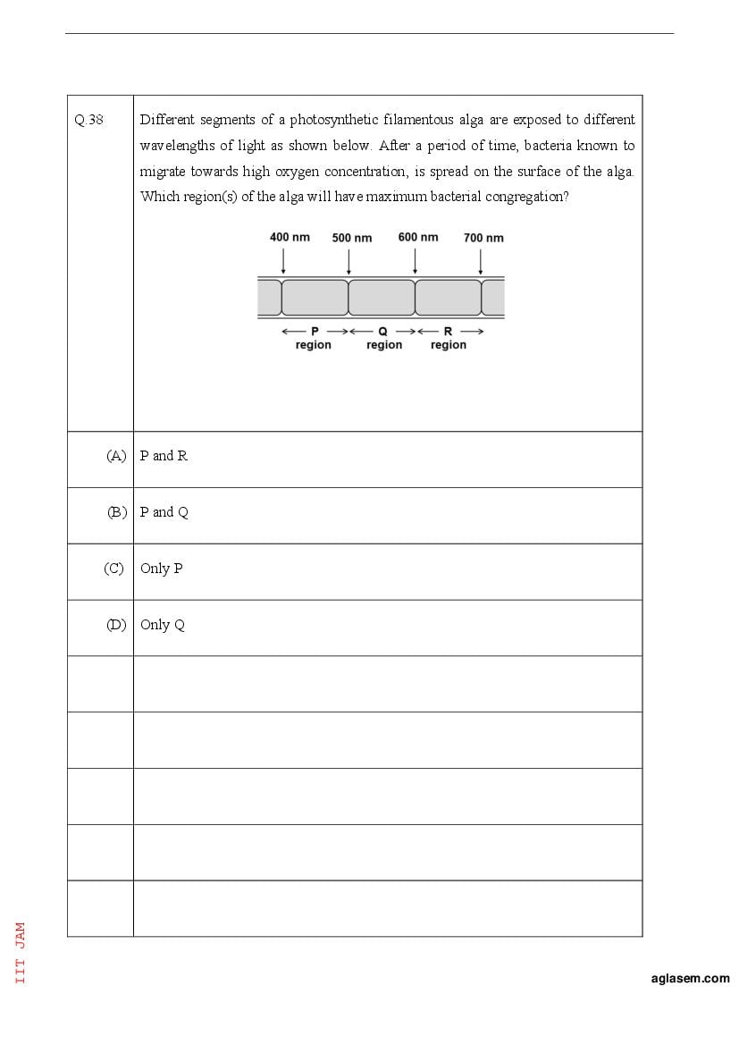 IIT JAM 2023 Question Papers PDF with Answer Keys (7 Papers)
