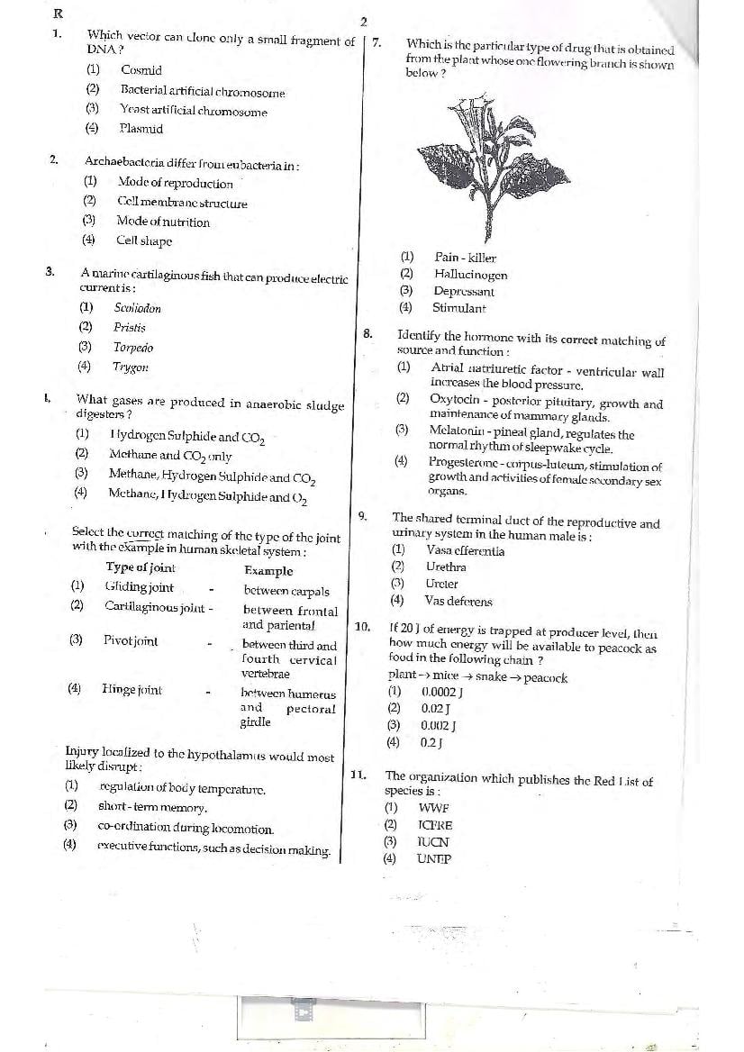 NEET 2014 Question Paper