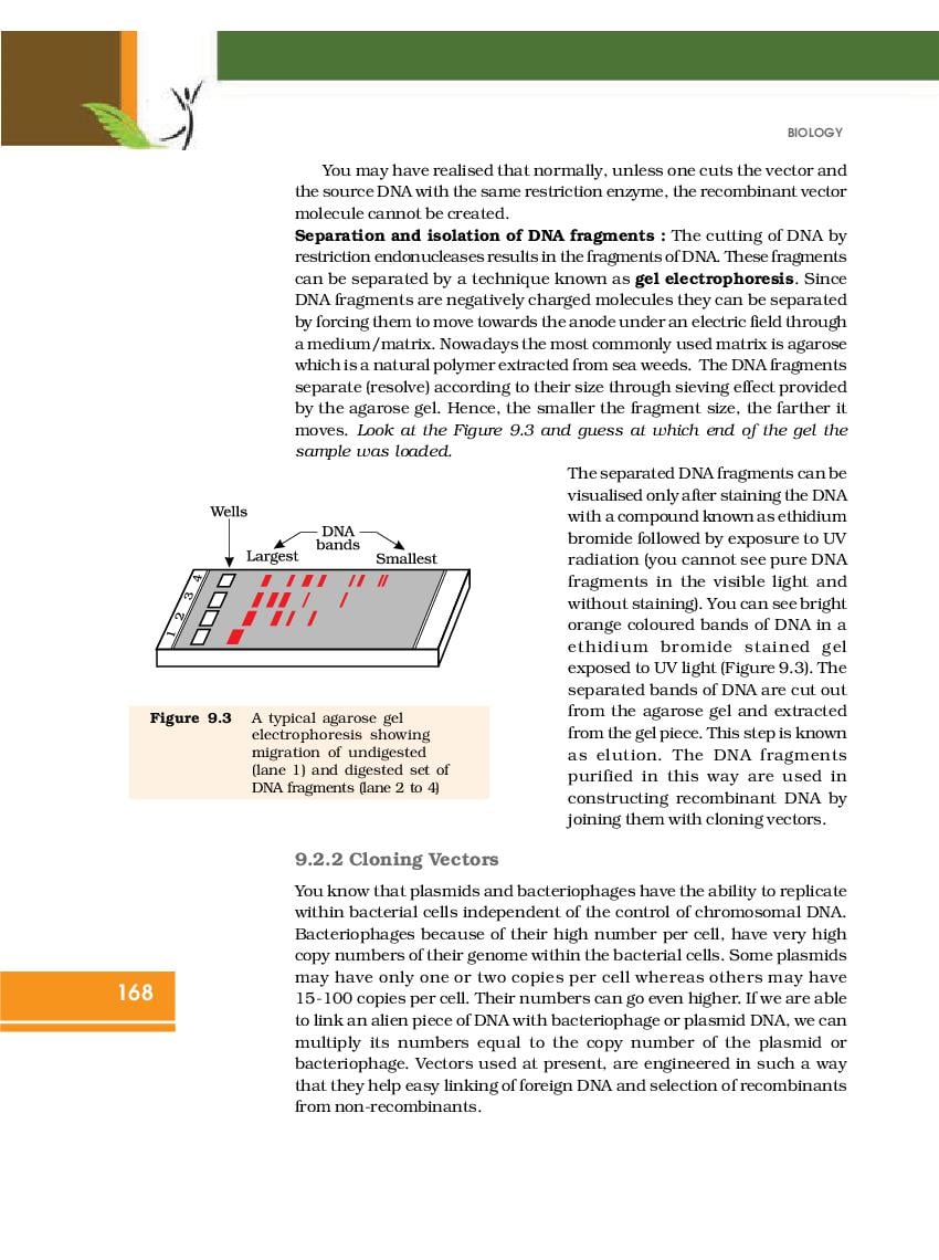 NCERT Book Class 12 Biology Chapter 9 Strategies for Enhancement in Food  Production