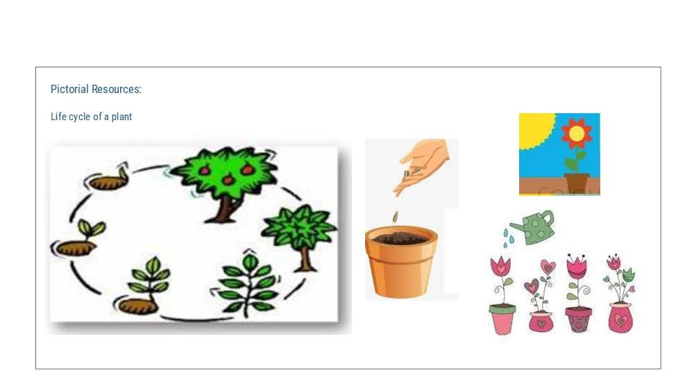 Teaching Material for Class 3 English – NCERT CBSE Handbook for Teachers