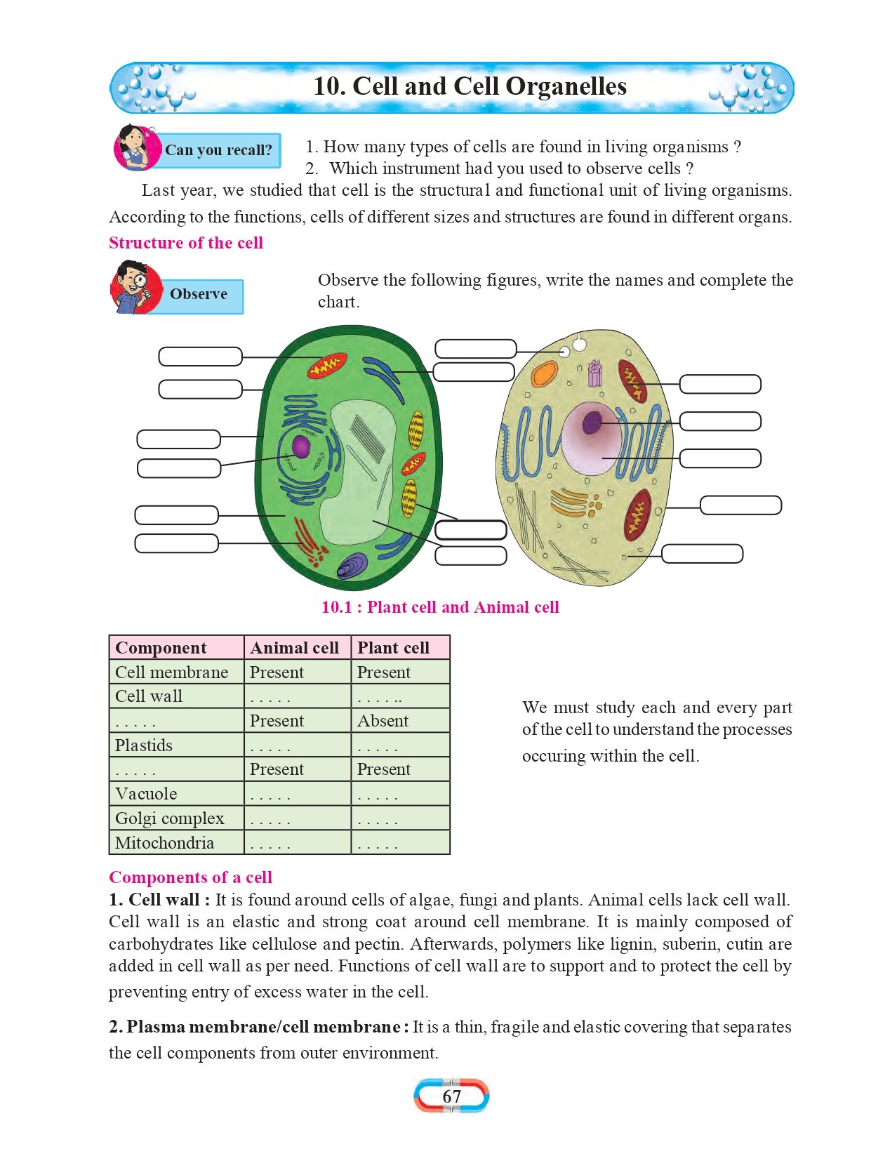 8th class science experiment book pdf maharashtra board