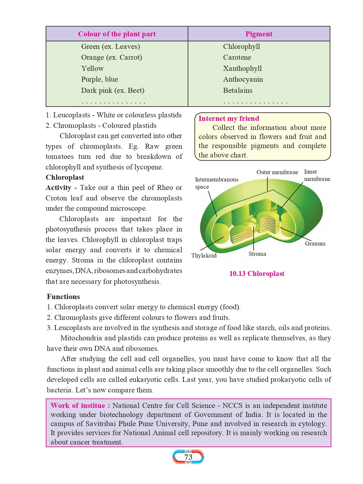 8th class science experiment book pdf maharashtra board