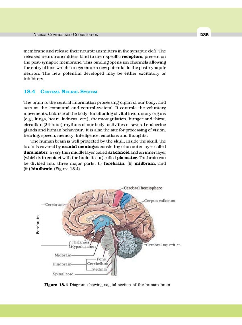 ncert-book-class-11-biology-chapter-18-body-fluids-and-circulation