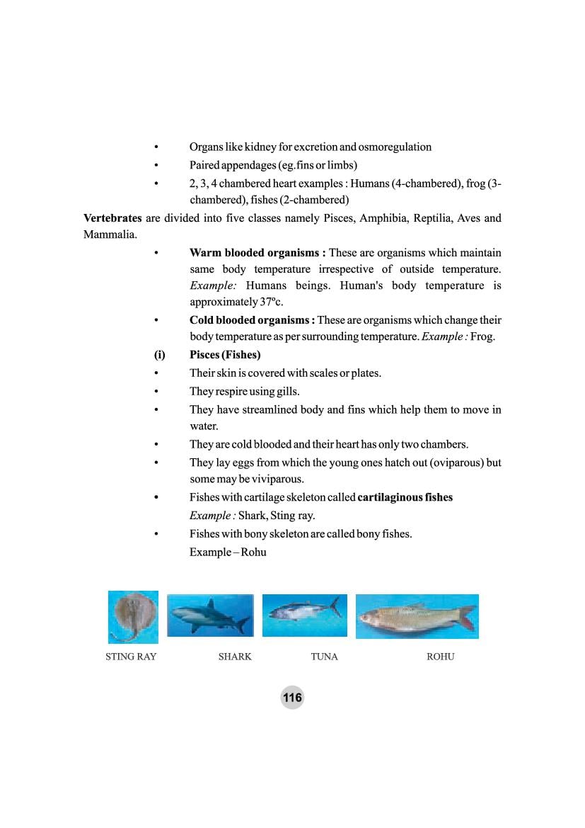 Class 9 Science Notes for Diversity In Living Organism (PDF) - Study ...