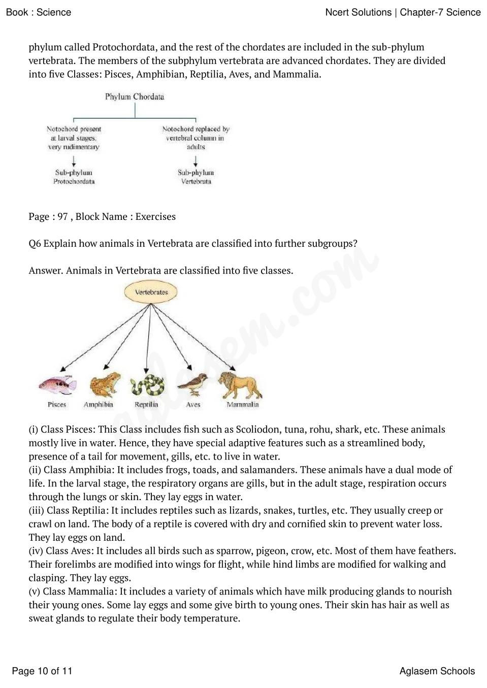 Ncert Solutions For Class Science Chapter Diversity In Living Organisms