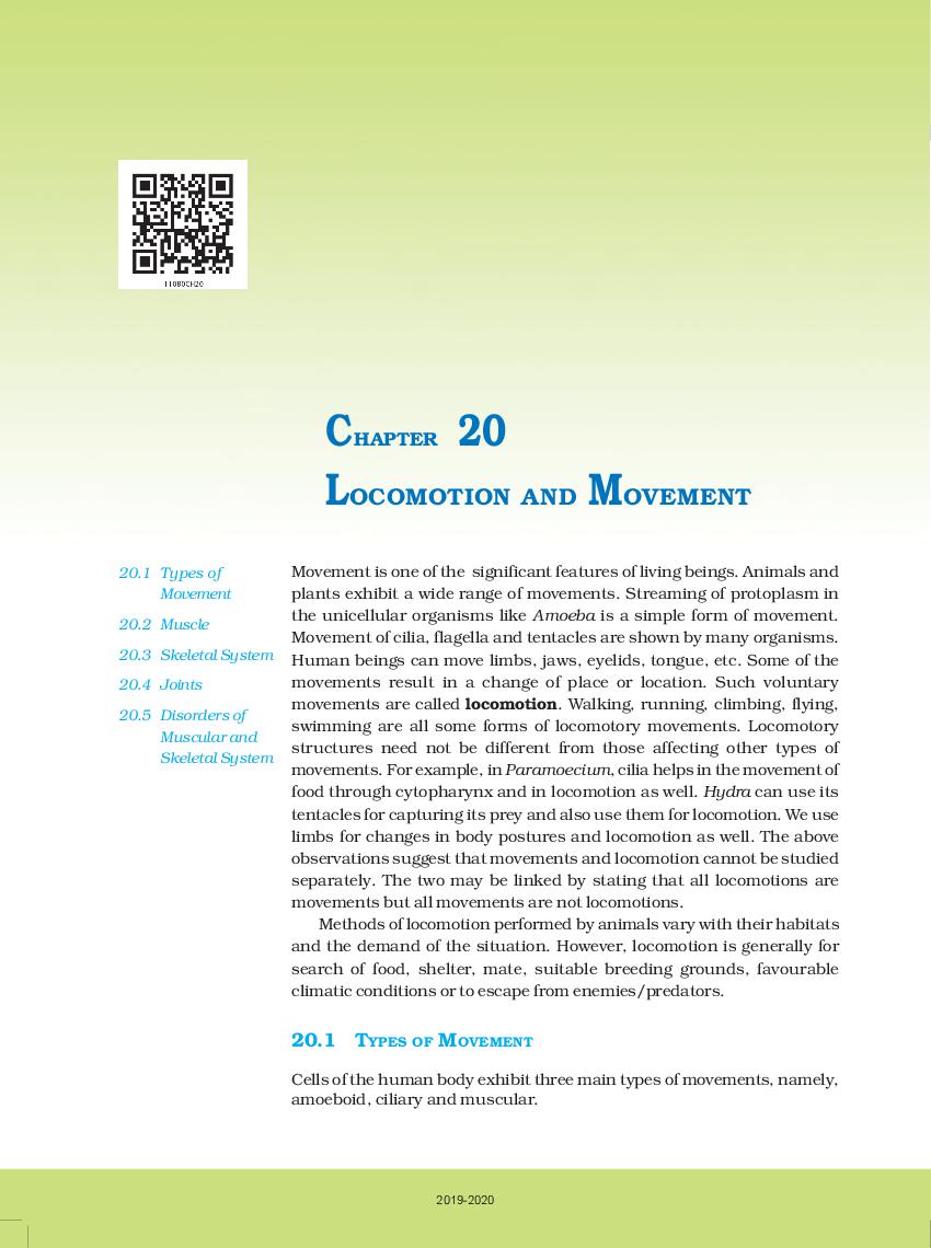 NCERT Book Class 11 Biology Chapter 20 Locomotion and Movement