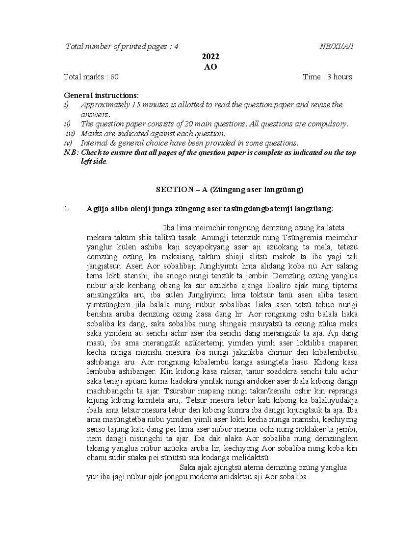 NBSE Class 11 Question Paper 2022 AO - Page 1