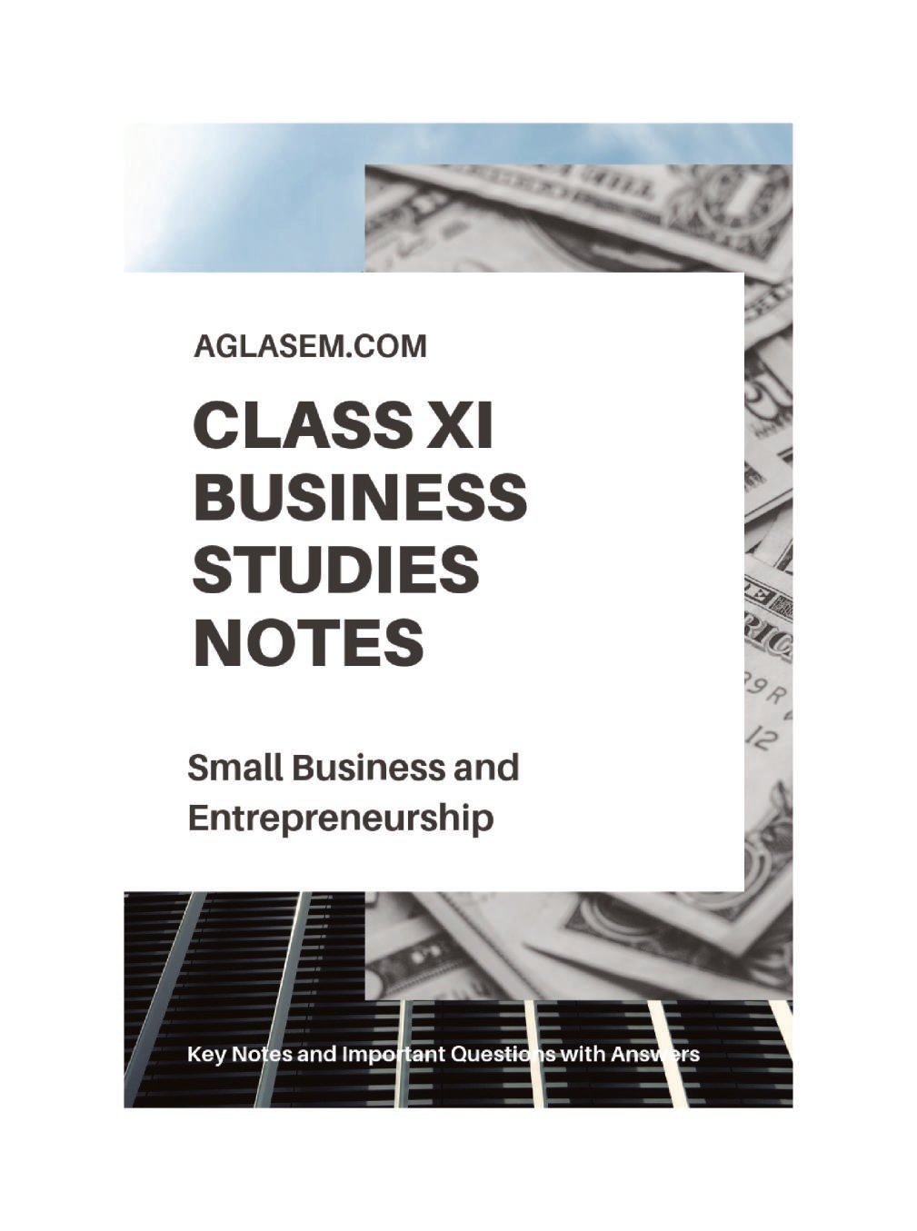 Class 11 Business Studies Notes for Small Business and Enterprises - Page 1