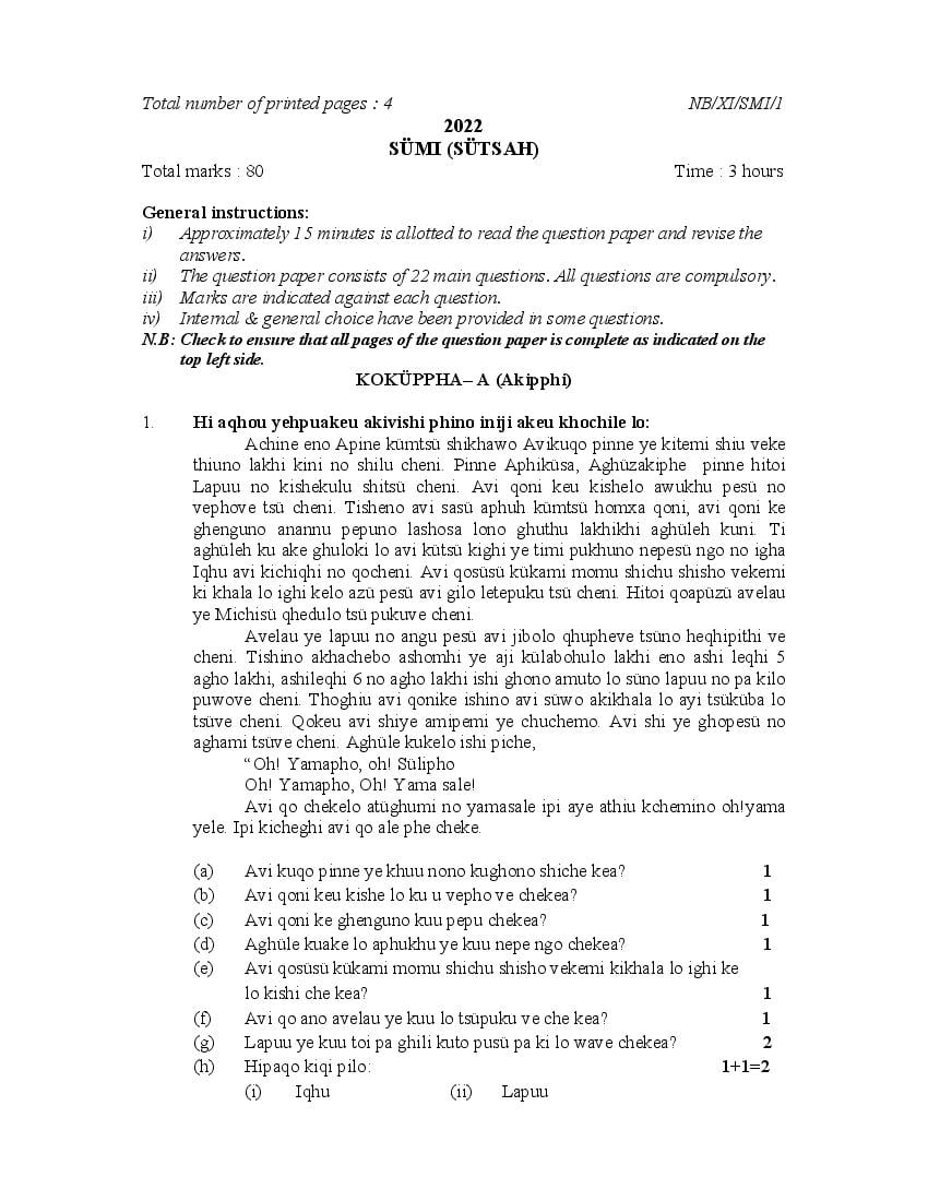 NBSE Class 11 Question Paper 2022 Sumi - Page 1
