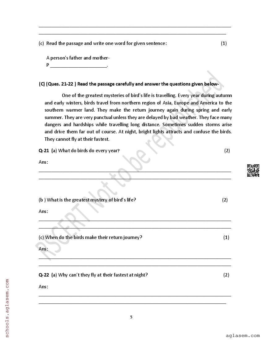 Rbse class 8 model paper 2025 english download english
